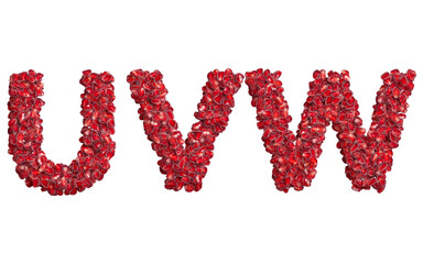 3d alphabet, uppercase letters UVW made of pomegranate grains, 3d illustration