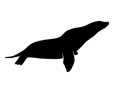 Seal Silhouette. Isolated Vector Animal Template for Logo Company, Icon, Symbol etc