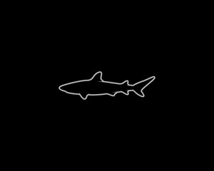Fototapeta na wymiar Shark Silhouette. Isolated Vector Animal Template for Logo Company, Icon, Symbol etc