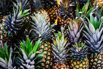 A lot of pineapples in the warehouse of the wholesale store. Trade in exotic fruits to different countries. Close-up