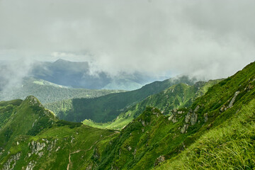 Summer landscape in carpathian mountains with cloudy sky. Carpathian, Ukraine, Europe.