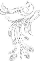 Vector contour drawing of fantasy flying bird