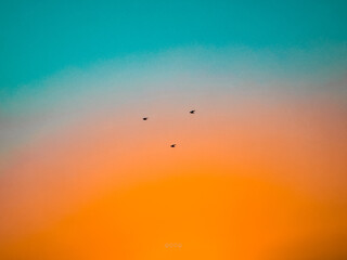 sunset over the sea