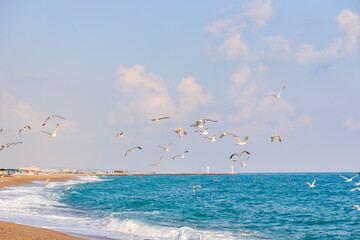 Seagulls flying, blue mediterranean sea, lighthouse and sky in the background.