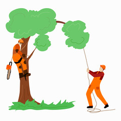 Two arborist lumberjacks are sawing a tree.