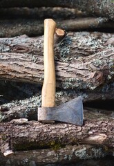 axe in the stump