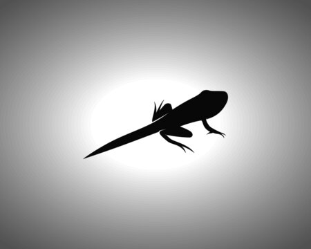 Tadpole Silhouette. Isolated Vector Animal Template for Logo Company, Icon, Symbol etc