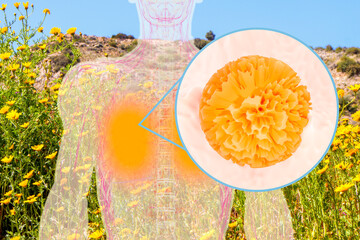 An allergic reaction to pollen occurs in the body. Bloom and pollen allergy concept. 3d rendering