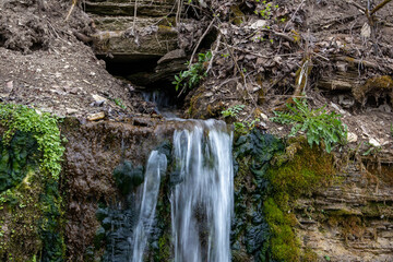 Millennial cold forest creek, little waterfalls over the rocks with slippery moss