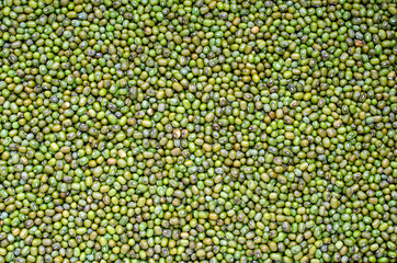 Dry organic green mung bean background after harvested. For clean food ingredient and agricultural product concept