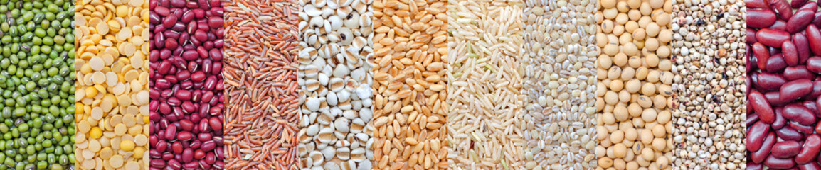 Various kinds of natural grains and cereals, consisted of green bean, soybean, red bean, rice seed, wheat, and millet, for food raw material and agricultural product concept