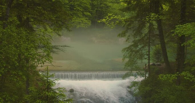 Kamni&scaron;ka Bistrica s a salmonid river which begins under a spring. Beautiful natural and one of the cleanest streams in Slovenia. Elevated view of water cascading downstream. Handheld, real time