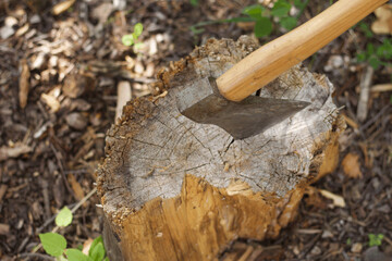 axe in the stump