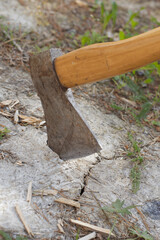 axe in the ground