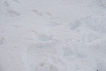 White Abstract Background of Natural Scene of closeup white snow on the mountain at changla pass , Leh Ladakh Jammu and Kashmir , India                                                    