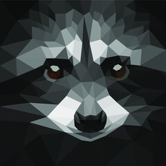 polygonal raccoon face - 443060469