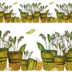 watercolor illustration seamless border ,old flower pots with plants,white background