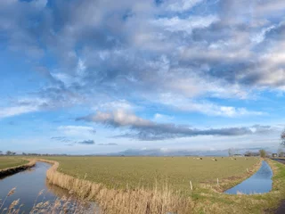 Fototapeten Gronings landschap bij Niehove © Holland-PhotostockNL