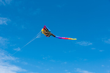 Colorful Kites flying over the sky