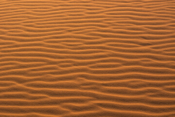 desert dunes, a journey to the Sahara