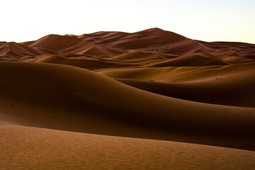 desert dunes, a journey to the Sahara
