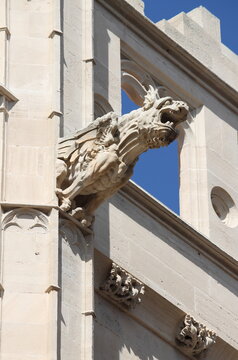 Gargoyle at La Lonja monument in Palma de Mallorca, Spain