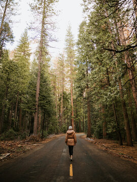Lonely woman walking along empty highway against huge green sequoias