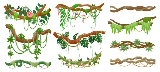 Jungle lianas. Rainforest green vine hanging on branch. Cartoon tropical leaves, liana, moss and flowers on tree. Creeper plants vector set