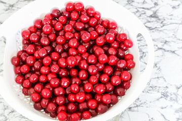 Selective Focus of freshly picked red morello, sour cherries,  on a white background. Food concept, fruits on white background.