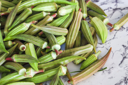 Selective focus of Okra or Okro, Abelmoschus esculentus, ladies' fingers plant. It is valued for its edible green seed pods. Raw Food, Copy Space.