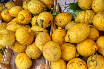 The famous giant lemons of Sorrento for sale in the historic center