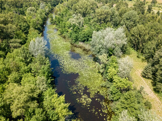 Fototapeta na wymiar River among green trees in summer. Aerial drone view.