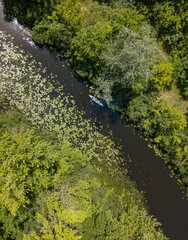 Kayak on a narrow river with green banks in summer. Aerial drone view.