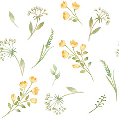 Botanic blossom floral elements. Branches, Yellow flowers, herbs, wild plants. Seamless pattern. Garden, meadow, feild set leaf, foliage, branches. Bloom watercolor illustration