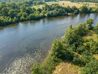 River bank in summer. Aerial drone view.