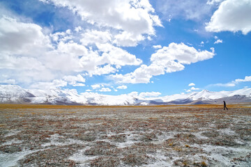 Nature Scene of Landscape Tso kar lake is salt lake and dry meadow with snow mountain background at Leh Ladakh ,Jammu and Kashmir , India - unseen travel and vacation park and outdoor