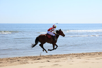 Race horse and jockey galloping on the beach