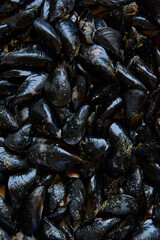 Blue mussels pattern, healthy seafood