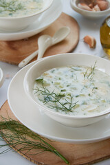 Summer refreshing cold yogurt soup, healthy meal with fresh raw vegetables and dairy ingredients