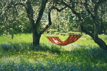 Bright red hammock hanging among in the garden with blooming apple trees and forget-me-not flowers.