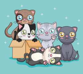 cats cartoons with box