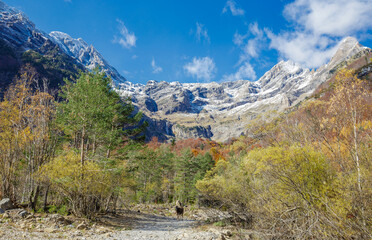 Fototapeta na wymiar Pineta Valley in Ordesa and Monte Perdido National Park, Spain