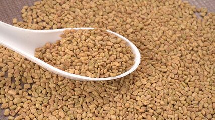 Organic fenugreek seeds, ingredient in Indian cuisine.