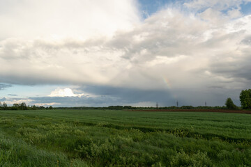 Fototapeta na wymiar Landscape after the rain. Above the rural pasture, there is a rainbow and a beautiful sky with clouds.