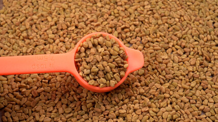 Organic fenugreek seeds, ingredient in Indian cuisine.