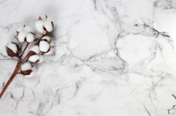 Top view of cotton sprigs on a marble background