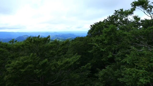 広大な森林　山並み　秋田県　移動撮影