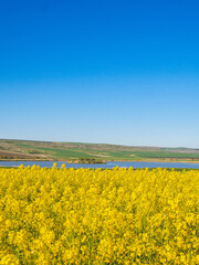 Obraz premium OLYMPUS DIGITAL CAMERA