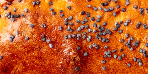 Poppy seeds on a bun as a background.