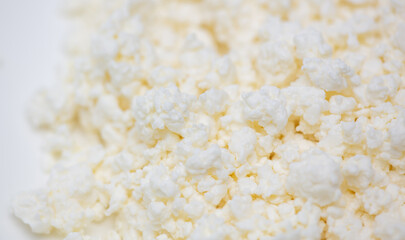 Fresh milk curd as background.